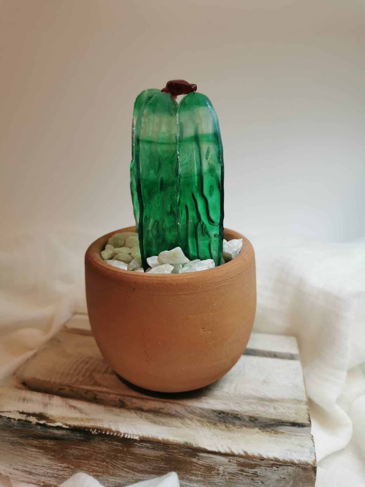 Maceta de barro con cactus de vidrio importado